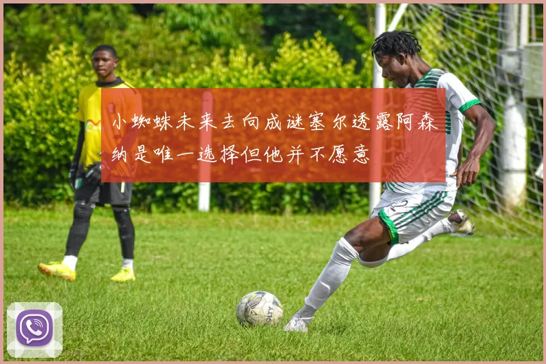 小蜘蛛未来去向成谜塞尔透露阿森纳是唯一选择但他并不愿意