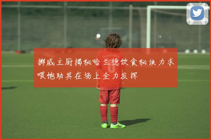 挪威主厨揭秘哈兰德饮食秘诀力求喂饱助其在场上全力发挥