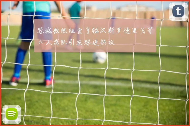 蓉城教练组金亨镒汉斯罗德里戈等六人离队引发球迷热议