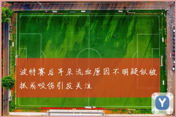 波特赛后耳朵流血原因不明疑似被抓或咬伤引发关注