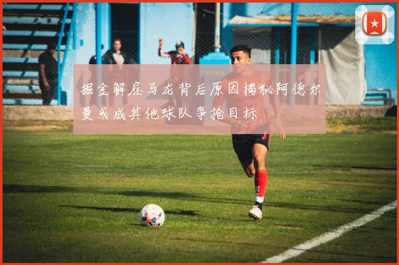 掘金解雇马龙背后原因揭秘阿德尔曼或成其他球队争抢目标
